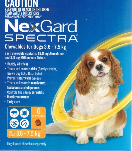 nexgard spectra yellow